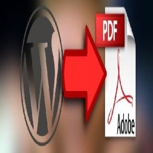 CONVERT6ARTICLE6TO6PDF