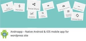 site web to app mobile