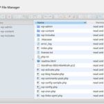 le plugin wp file manager