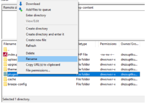 renommer dossier plugin